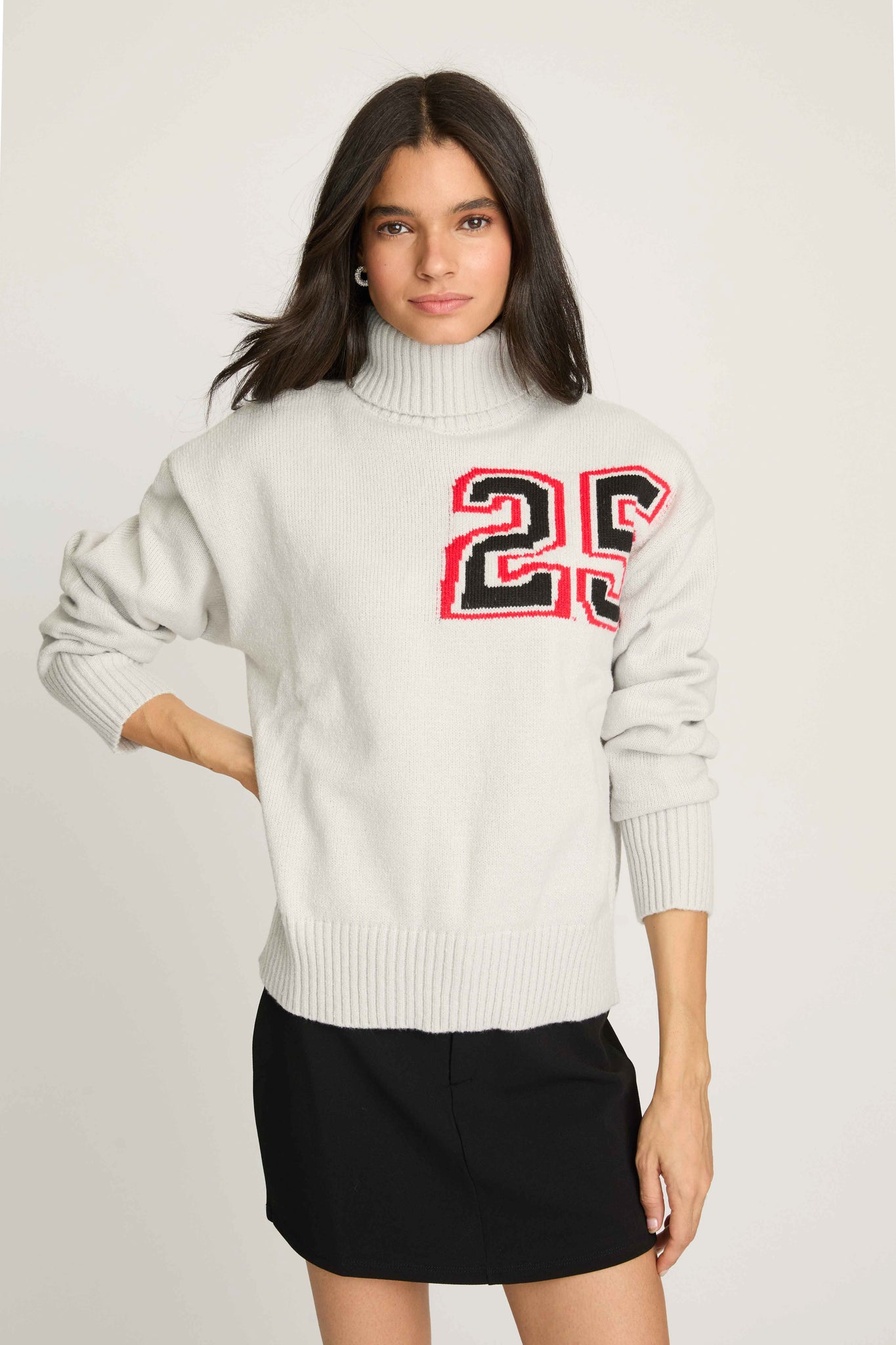 Dante Turtleneck Sweater